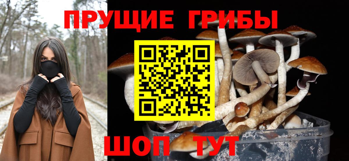 Псилоцибиновые грибы прущие грибы  Вход с VPN  Галлюциногенные грибы MAGIC MUSHROOMS  Ногинск 