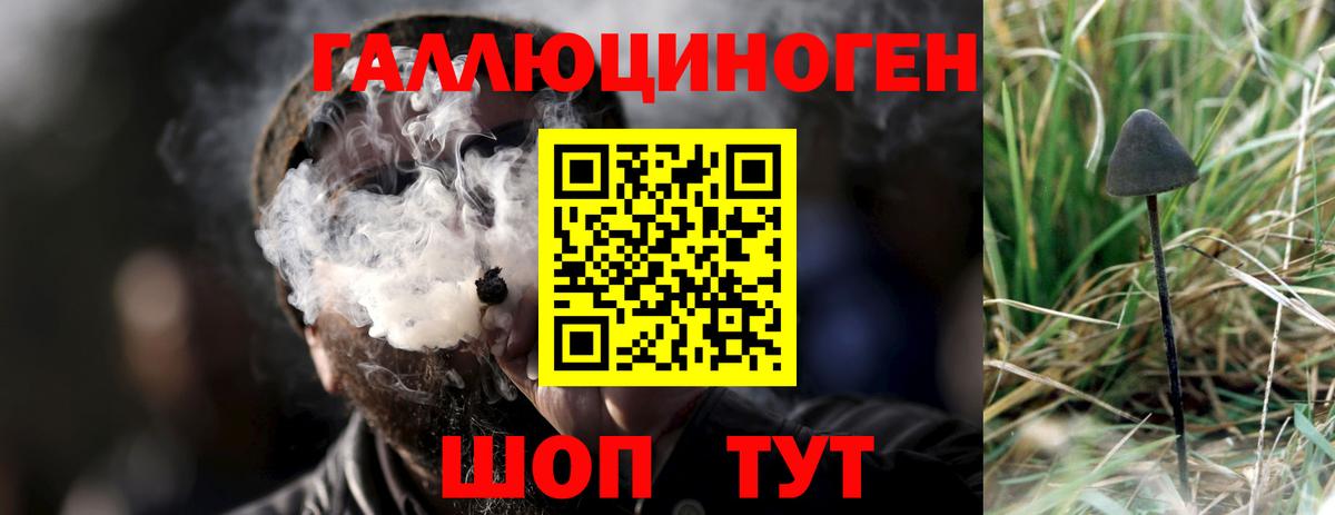 Псилоцибиновые грибы мицелий Ногинск