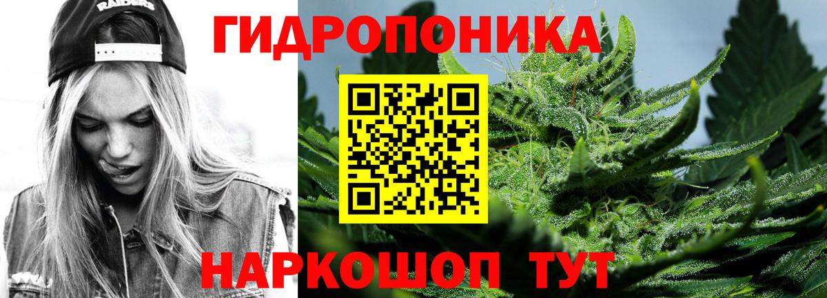 Канабис планчик  Вход с VPN  Ногинск  Каннабис THC 21% 