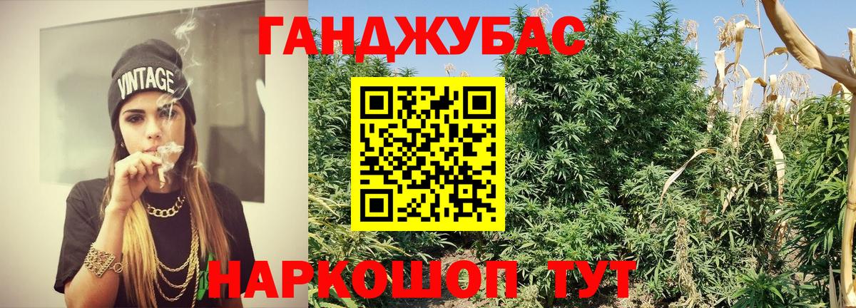 Бошки марихуана марихуана Ногинск